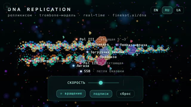 DNA